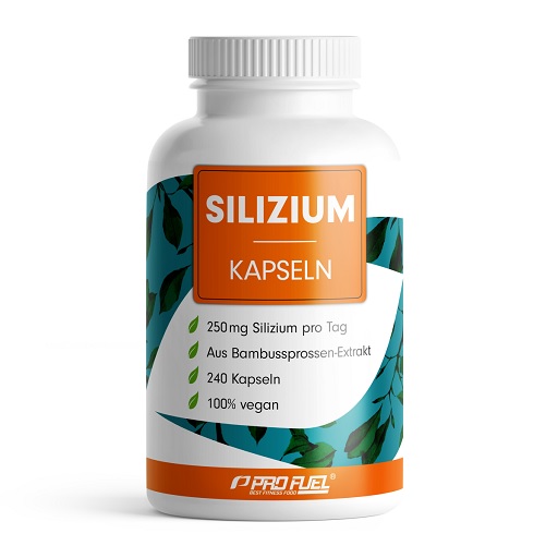 ProFuel Silizium 240 Kapseln