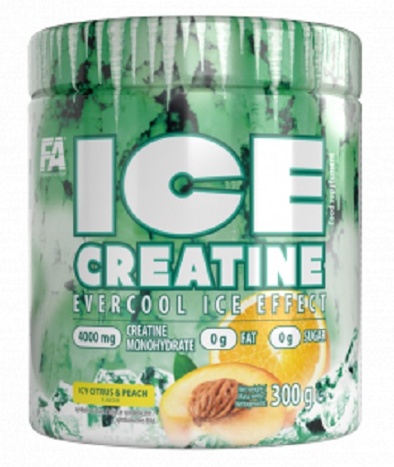 FA Nutrition ICE Creatine 300g Mango&Passionsfrucht